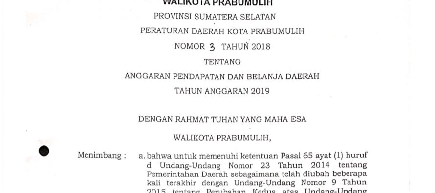 ANGGARAN PENDAPATAN DAN BELANJA DAERAH TAHUN ANGGARAN 2019