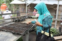 Lomba Taman Herbal Bejo Kota Prabumulih.