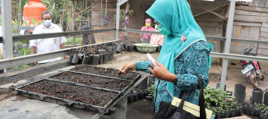 Lomba Taman Herbal Bejo Kota Prabumulih.