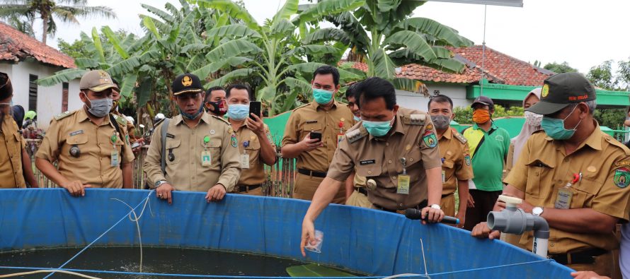 Meninjau Bioflok di Kelurahan Gunung Ibul Barat (KWT Swadaya)