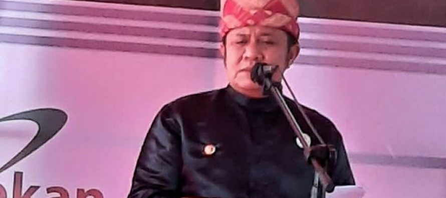 Pembukaan Pekan Adat Sumatera Selatan 2020