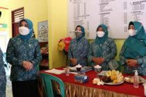 Kunjungan Tim Penilai PHBS dan Posyandu Provinsi