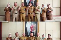 AUDIENSI DARI PENGURUS WILAYAH ASOSIASI RUMAH SAKIT DAERAH (ARSADA) SUMATERA SELATAN