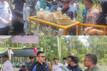 KUNJUNGAN KERJA LEMBAGA PERINDUSTRIAN NANAS MALAYSIA KEMENTERIAN PERTANIAN DAN KETERJAMINAN MAKANAN MALAYSIA KETEMPAT BUDIDAYA NANAS DI DESA PANGKUL