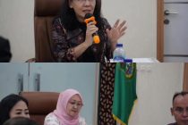 PAPARAN MENGENAI 2 INOVASI DARI KOTA PRABUMULIH, YAITU OLAHAHAN IKAN LELE DAN OLAHAN NANAS