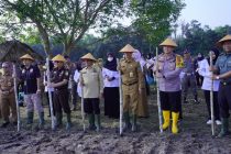 Gerakan Tanam Jagung Bersama FORKOPIMDA Kota Prabumulih