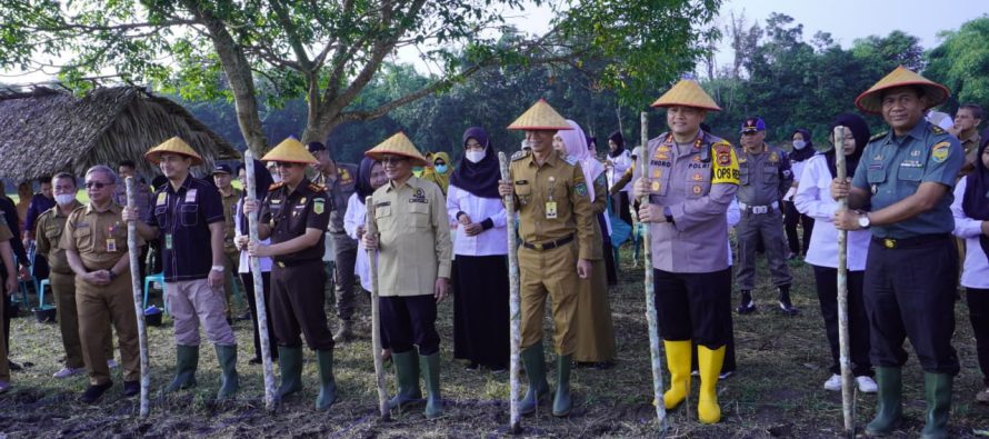 Gerakan Tanam Jagung Bersama FORKOPIMDA Kota Prabumulih