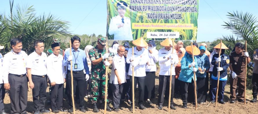Pemerintah Kota Prabumulih bersama Forkopimda Kota Prabumulih lakukan Tanam Perdana Padi Gogo Tumpang Sisip Kelapa Sawit