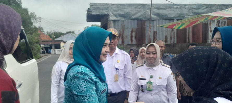 Dari Posyandu Kutilang hingga Srikandi, Nuning Mulya Franky Kawal Layanan Kesehatan Ibu dan Anak