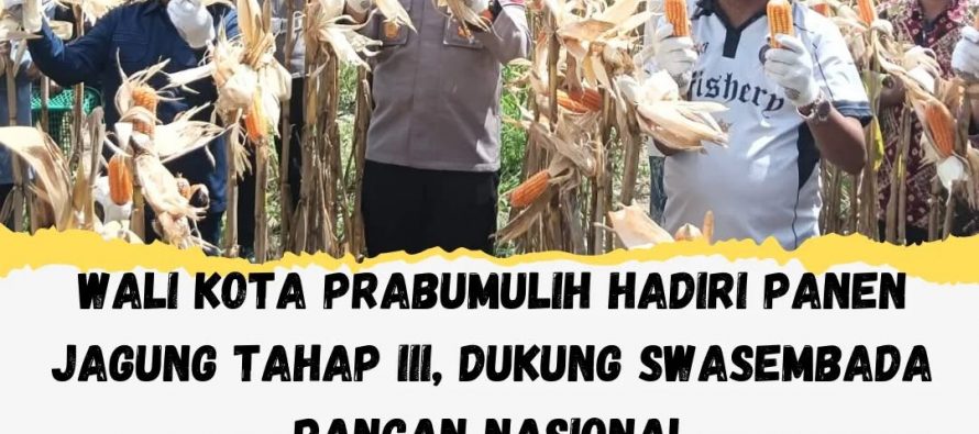 Wali Kota Prabumulih Hadiri Panen Jagung Tahap III, Dukung Swasembada Pangan Nasional