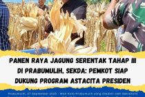 Panen Raya Jagung Serentak Tahap III di Prabumulih, Sekda: Pemkot Siap Dukung Program Astacita Presiden