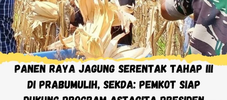 Panen Raya Jagung Serentak Tahap III di Prabumulih, Sekda: Pemkot Siap Dukung Program Astacita Presiden