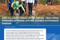 DARI HALAMAN RUMAH UNTUK NEGERI : WALI KOTA PRABUMULIH TANAM JAGUNG DUKUNG KETAHANAN PANGAN