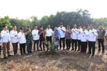 Tebang Tebas Lahan Pertanian Di Anak Petai, Wali Kota Arlan Tegaskan Komitmen Dukung Ketahanan Pangan