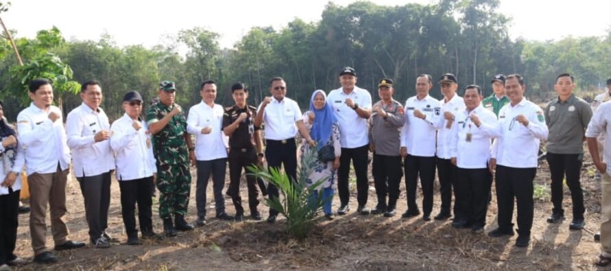 Tebang Tebas Lahan Pertanian Di Anak Petai, Wali Kota Arlan Tegaskan Komitmen Dukung Ketahanan Pangan
