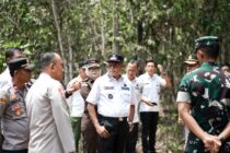 Wali Kota Prabumulih Tinjau Langsung Lokasi Karhutla Di Kelurahan Sindur